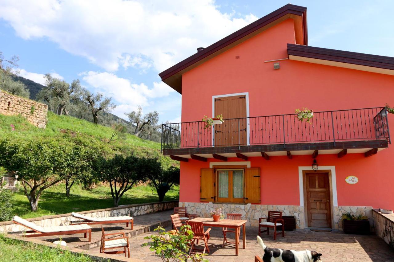 B&B La Casa Del Sole Controne Eksteriør bilde